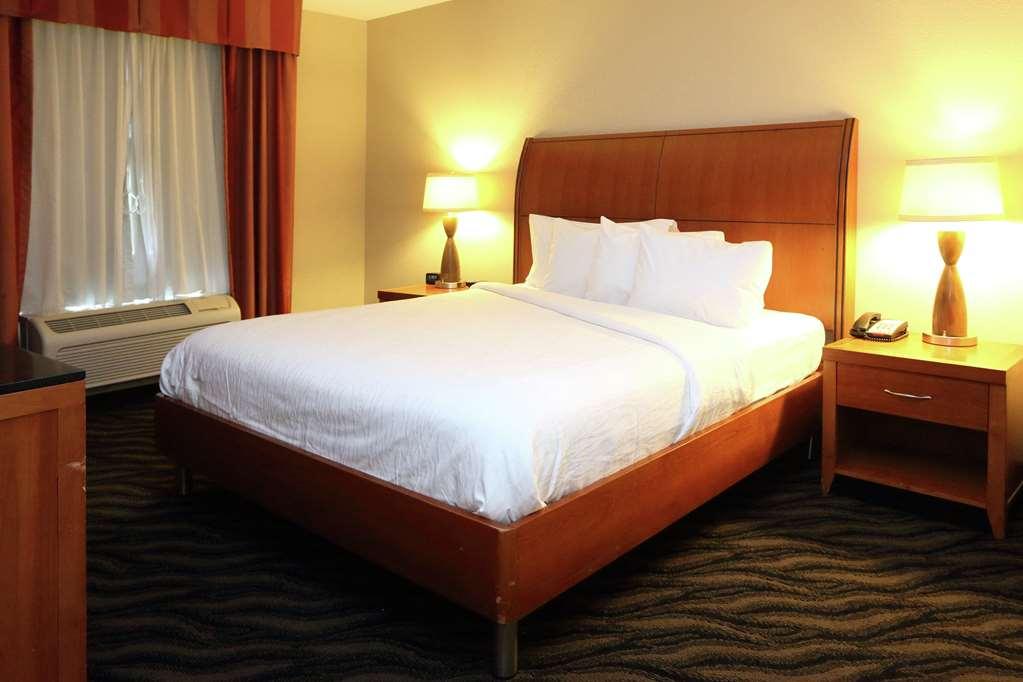 Hilton Garden Inn Chesapeake/Suffolk Rum bild